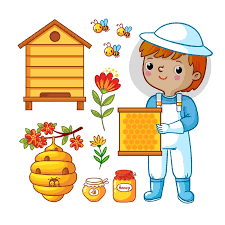 Dall'ape al miele